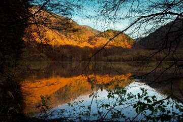 Water in the autumn forest. Leaves and trees. Biogradska Gora National Park, Montenegro.