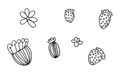 Hand drawn doodle flower head illustration. Simple floral element isolated on white background