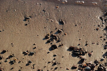 Wet sand and small stones.
In the rays of the setting sun, wet coastal sand in which there are small pebbles. Pebbles of different shapes and colors. The sand has various shades. Pebbles cast a shadow