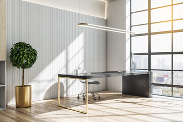 Luxury director's office