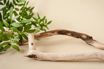 Natural background for cosmetic products created from wood and green leaves.