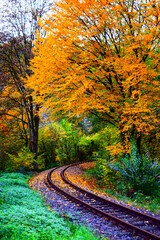 Strecke der Brohltaleisenbahn im Herbst