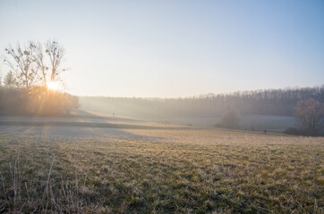 Sonniger Wintertag am Stadtrand von Bamberg