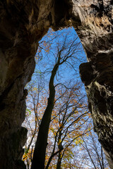 Höhle Eingang Portal Hönnetal Sauerland Deutschland Kalkstein Sonne Herbst Buchen Wald Natur...