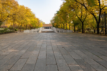 In autumn, ancient building lofts and ginkgo trees are in Jinci Park, Taiyuan, Shanxi, China