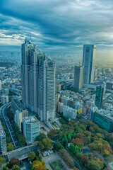 Fototapeta na wymiar 東京都新宿区西新宿にある東京都庁から見た夕方の東京の都市景観