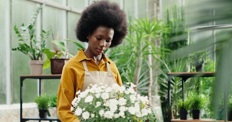Portrait of busy young businesswoman in flower shop watering plant with sprayer. Happy African American female worker standing in green floral store alone. Small business. Floristry concept