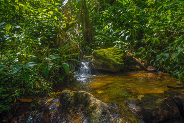 waterfall in the forest