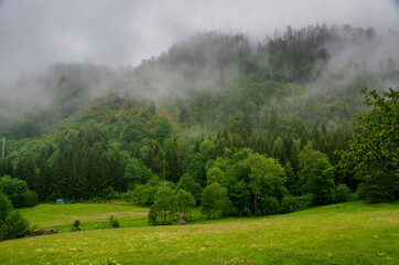 Schwarzwaldlandschaft in Wolken
