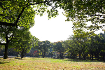 Naklejka premium 鶴見緑地公園