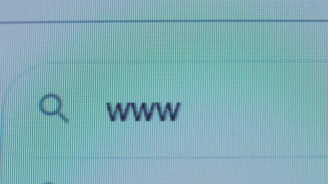 WWW is written in the search bar with the cursor and the magnifying glass symbol. Macro photography of the monitor display.