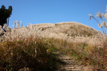 秋の岩湧山山頂