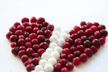 Cranberry isolated on white background. Decoration. White and red. Latvia. Colors of Flag. Autumn. Berries