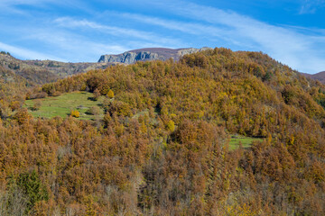 Autumnal landscape in the Aveto Regional Natural Park, Genoa province, Liguria, Italy.