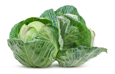 cabbage vegetable isolated on white background