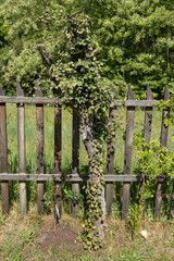 Garden at the children's playhouse
