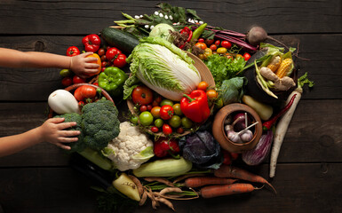 Children's hands are holding sustainable food. Fresh vegetables grown at home in the garden.