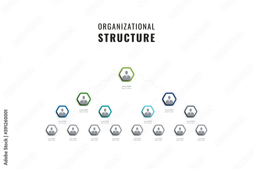 Poster vertical organizational structure of the company template. multicolor hexagonal elements with person