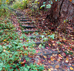 An old stone staircase in the autumn forest rises up the slope.