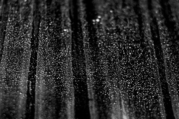 texture, crumpled plastic film on black with small splashes of water