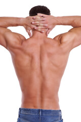 trainierter R&uuml;cken