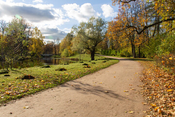 Fototapeta premium road through the autumn Park on a Sunny day