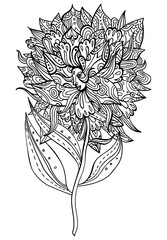 Black and white ornate flower with a face. Fairytale floral princess, goddess. Tribal boho tattoo. Vector coloring page.