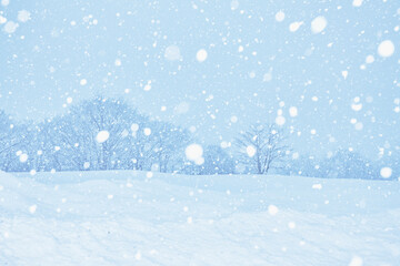 雪景色の白川郷