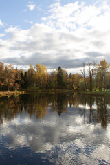 Fototapeta na wymiar autumn landscape forest lake surrounded by colorful trees