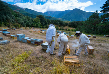 Pedro Arto Beekeeper, Aragües del Puerto Village, Jacetania, Huesca, Aragon, Spain, Europe