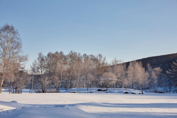 早朝の冬の白樺湖
