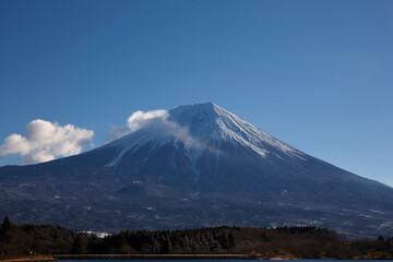 Fototapeta na wymiar 田貫湖からの富士山