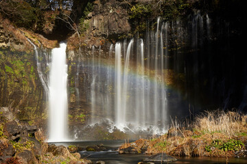 Fototapeta na wymiar 冬の白糸の滝