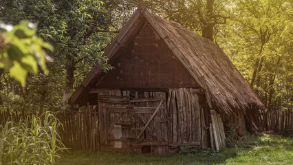 Naklejka premium Spooky wood house on bright day in forest