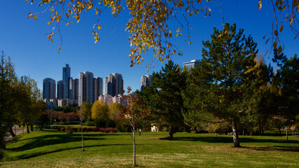Autumn landscape in front of tall buildings.