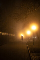 Urban night landscape: in the autumn fog lights of lanterns, dark branches, trees, benches, silhouettes of people... Yellow foggy landscape on the alley
