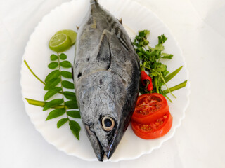 Tuna /Little Tuna (Thunnus Thynnus), Decorated with Herbs and Vegetable s on a white plate.