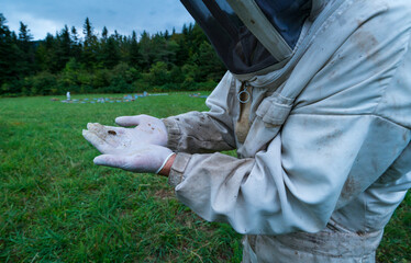 Pedro Arto Beekeeper, Aragües del Puerto Village, Jacetania, Huesca, Aragon, Spain, Europe