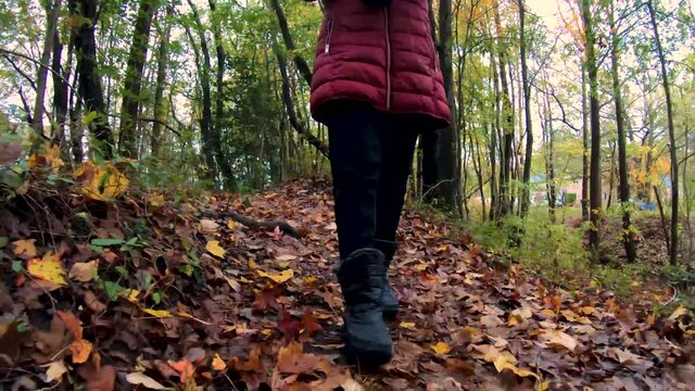 girl walking through the woods on a cold autumn day. low angle shot