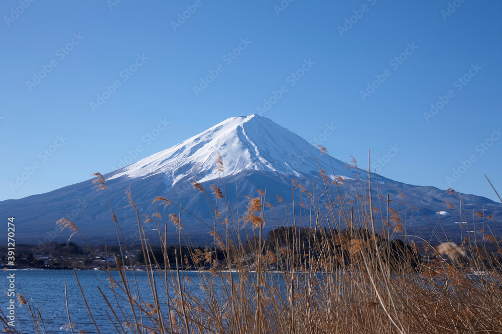 Wall mural 河口湖から望む富士山