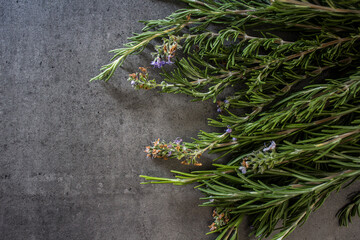 Rosemary bounds on grey textured background. Aromatic plant top view photo. Healing herbs close up. 