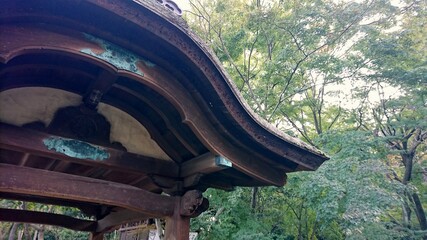 Japanese pavilion roof
