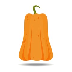 orange pumpkin with flat style design vector illustration, isolated on white background. Halloween autumn, pumpkin thanksgiving day, fresh and delicious vegetable graphics.