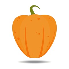 orange pumpkin with flat style design vector illustration, isolated on white background. Halloween autumn, pumpkin thanksgiving day, fresh and delicious vegetable graphics.
