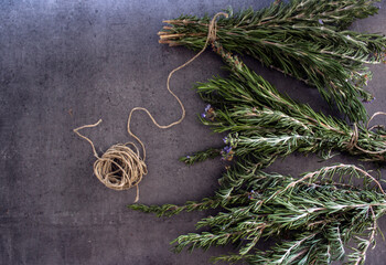 Rosemary bounds on grey textured background. Aromatic plant top view photo. Healing herbs close up. 