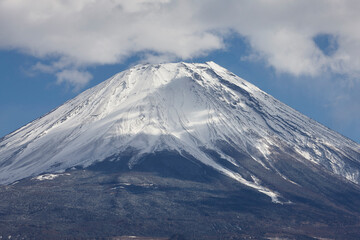 Fototapeta na wymiar 朝霧高原から望む富士山
