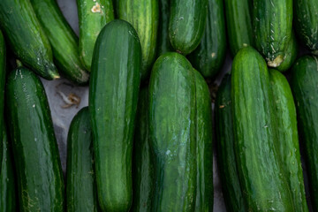Green cucumbers on supermarket. Organic eating. Agriculture retailer.