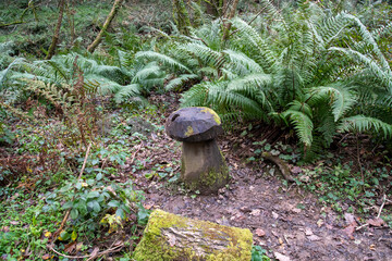 Wooden Carved Mushroom In Forest in Devon UK
