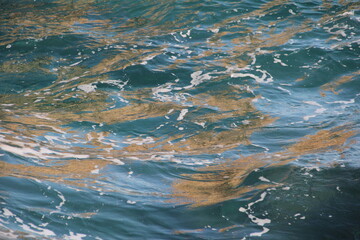 water in the sea