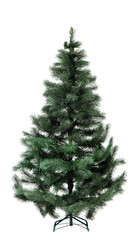 Very beautiful New Year's photo session with a Christmas tree